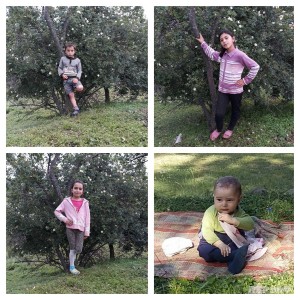 Daşkəsəndə dəhşətli yanğının TƏFƏRRÜATLARI