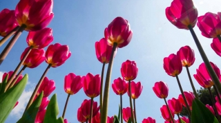 Sabah hava necə olacaq? 