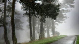 Sabaha olan hava proqnozu