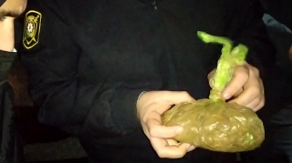 Qubada keçmiş məhkumdan 40 kq-dan çox narkotik vasitə götürülüb