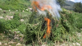 Məhkəmə qərarları ilə müsadirə olunan narkotik vasitələr məhv edilib