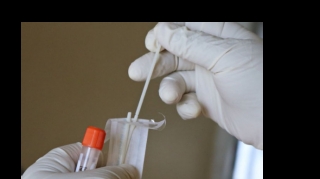 Azərbaycanda vəkil və müstəntiqlər üçün yeni müayinə məntəqəsi yaradılıb