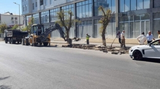 Sumqayıtda parkinq üçün yaşıllıq ərazi sökülür? - AÇIQLAMA    - YENİLƏNİB