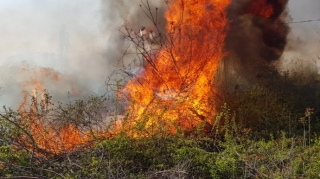 Qubadakı yanğına görə bir nəfər məsuliyyətə cəlb edilib  - FOTO
