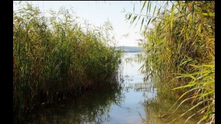 В Баку вор, убегая от хозяина дома, утонул в водоеме