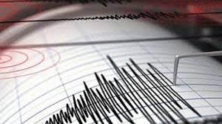 В Турции произошло землетрясение магнитудой 5,1, есть пострадавшие и разрушения