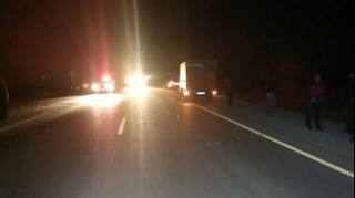 Şəkidə yük maşını atlını vuraraq öldürüb - FOTO 