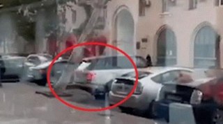 Bakıda sürücü “Range Rover”i aşan ağacdan son anda xilas etdi - VİDEO  