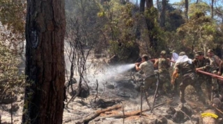 Türkiyədəki yanğınsöndürənlərimiz yanğınlarla mübarizəni davam etdirir - VİDEO