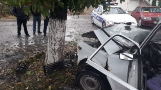 В Товузе автомобиль врезался в дерево, пострадали два человека 