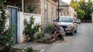 Həyət evində yaşanların NƏZƏRİNƏ! – Cərimələnə bilərsiz