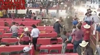 Qəzəbli öküz hasarı dağıdıb tamaşaçılara hücum etdi  - VİDEO