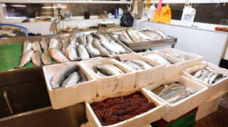 “8-ci km” bazarında yoxlama zamanı ciddi nöqsanlar aşkarlanıb - FOTOLAR 