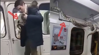 Rusiyalı kişi ilanını metroda “gəzintiyə” çıxardı - VİDEO 