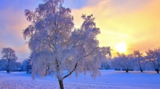 Завтра в Баку ожидается переменная облачность, в горных районах выпадет снег 