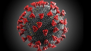 Пандемия COVID ускорила старение мозга - исследование 