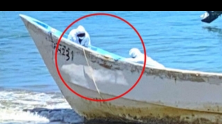 Karib dənizində qorxu filmlərini xatırladan tapıntı   - FOTO