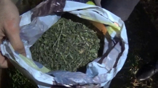  Şəki sakinindən narkotik vasitə götürülüb  - FOTO