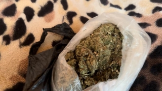 Qəbələdə narkotikə görə 2 nəfər saxlanılıb  - FOTO