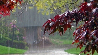 В Азербайджане ожидаются дождь и мокрый снег - ПРЕДУПРЕЖДЕНИЕ 