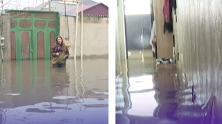 Bakıda bu evlər suyun içindədir - VİDEO 