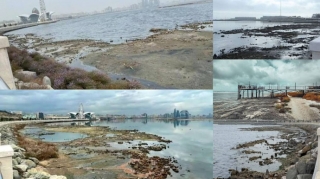 Qlobal istiləşmə fonunda Xəzərdə suyun səviyyəsi niyə azalır? – Ekoloqdan AÇIQLAMA 