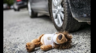 В Баку автомобиль сбил пятилетнего мальчика