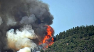 Turizm bölgəsində meşədə yanğın: ölən var   - FOTO