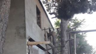 Bakıda ağacları zədələyən şəxs 600 manat cərimələnib - FOTO 