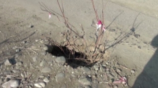 Bir şəhər və iki rayonu birləşdirən yol yararsız hala düşüb - VİDEO 