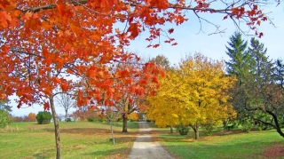 Noyabrın ilk gününün hava PROQNOZU 