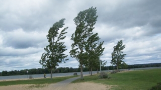 Küləkli hava şəraiti ilə bağlı sarı və narıncı xəbərdarlıq verildi 