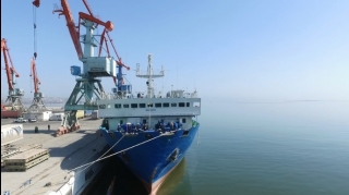 Dəniz Üzgüçülüyünün Təhlükəsizliyi Mərkəzinin zərəri 5 dəfə artıb