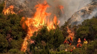 FHN-dən əhaliyə yanğınlarla bağlı ÇAĞIRIŞ 