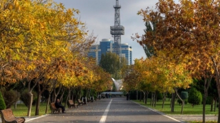 Sabahın hava proqnozu
