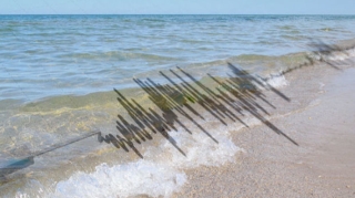 Seysmoloq:  “Növbəti sirkələnmənin baş verəcəyi ehtimal edilir”