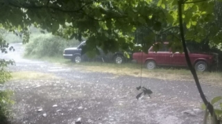 Göygölə dolu yağıb - VİDEO 