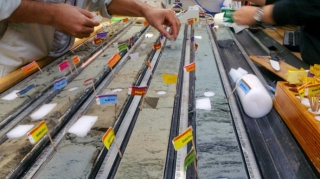 Alimlər 100 milyon il okean dibində yatan mikrobları “oyadıblar”