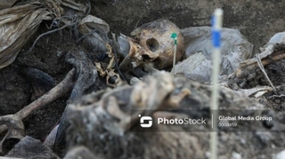 Мужчину, останки которого найдены в Габалинском районе, растерзали дикие животные