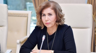 Bahar Muradova:  "Ətraf mühitin qorunmasına dair zəruri qanunvericilik bazası hazırlanıb"