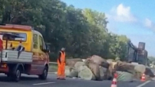 Niderlandlı fermerlər yolları peyin və samanla bağladılar – VİDEO 