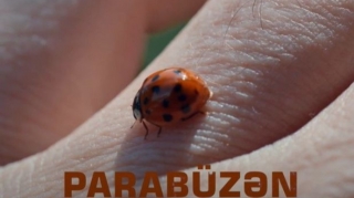 54 gün erməni mühasirəsində qalmış azərbaycanlılarla bağlı “Parabüzən” filmi təqdim olunacaq - VİDEO 