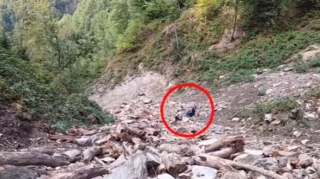 “Bandotdel” ağacları kəsən dəstə üzvlərinə qarşı əməliyyatlar keçirdi - Video 