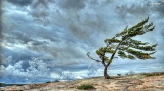 Güclü külək əsəcək - XƏBƏRDARLIQ 