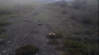 Azərbaycanın Qarabağ bölgəsində mina-tələlər zərərsizləşdirilib  - VİDEO - FOTO