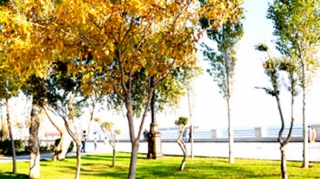 В Азербайджане воздух прогреется до 40 градусов тепла