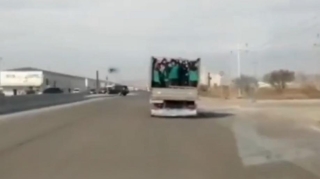 Bakıda təmizlik işçilərini mənzil başına qeyri-insani şəkildə apardılar - VİDEO 