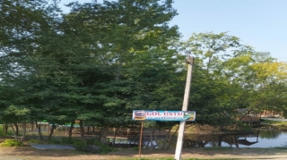 Zaqatalada restoranın icarədarı və toy sahibi cərimələndi - FOTO