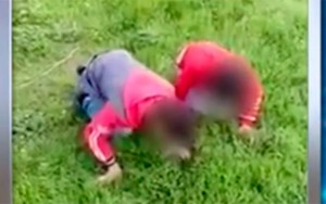 Uşaqları otlamağa məcbur edib video yayanlar saxlanıldı - VİDEO