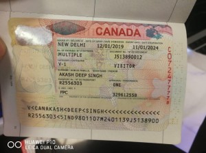 Sərhəddə 14 əcnəbi vətəndaşın keçmək cəhdinin qarşısı alınıb - FOTO